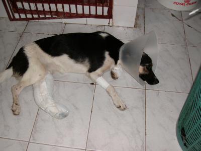20090127041439-pc270125.jpg