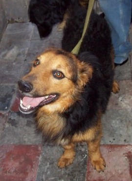 20090219050228-cacho-nov002.jpg