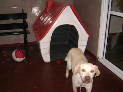 20090412062345-candela-cucha-8.jpg