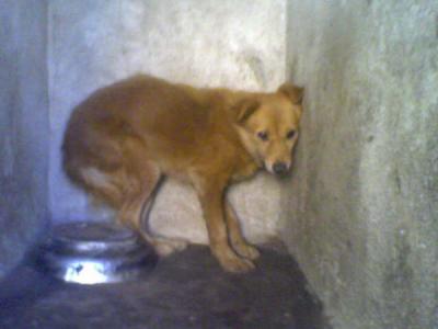 20090415082513-moron4.jpg