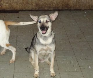 20090505203301-ceci1.jpg