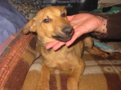 20090522061134-federico-ahora.jpg