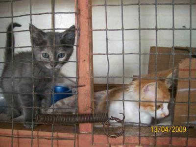 20090604083630-imagen-001.jpg