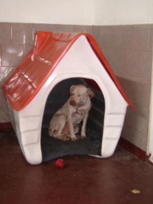 20090618021601-candela-cucha-3.jpg