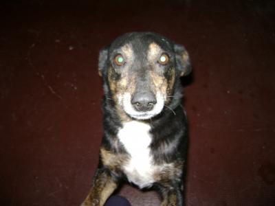 20090806235139-mama-caro.jpg