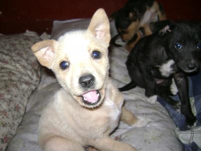 20090807000321-bebe-caro.jpg