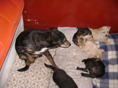 20090807000624-bebes-caro.jpg